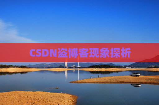 CSDN盗博客现象探析 CSDN盗博客现象探析